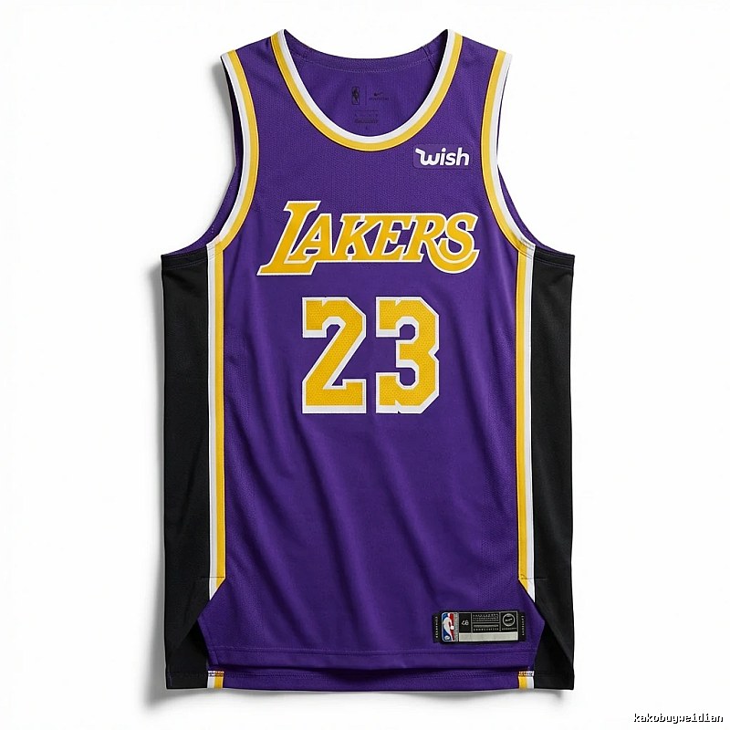 LBJ Lakers retro purple jersey