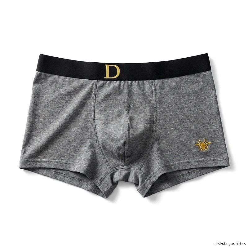 Dior minimalist style grey underwear
